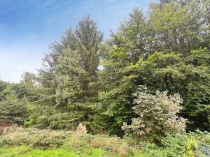 Garden- click for photo gallery